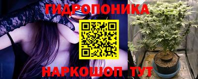 трава Берёзовский
