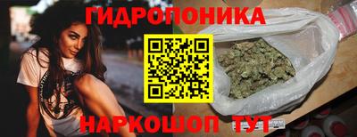 ECSTASY Бийск