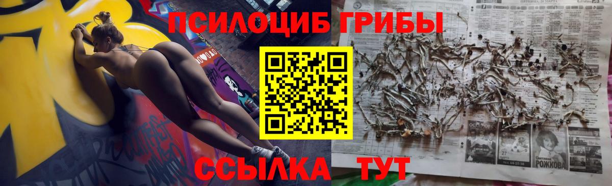 Псилоцибиновые грибы MAGIC MUSHROOMS  Вход с VPN  Ирбит  Галлюциногенные грибы MAGIC MUSHROOMS 