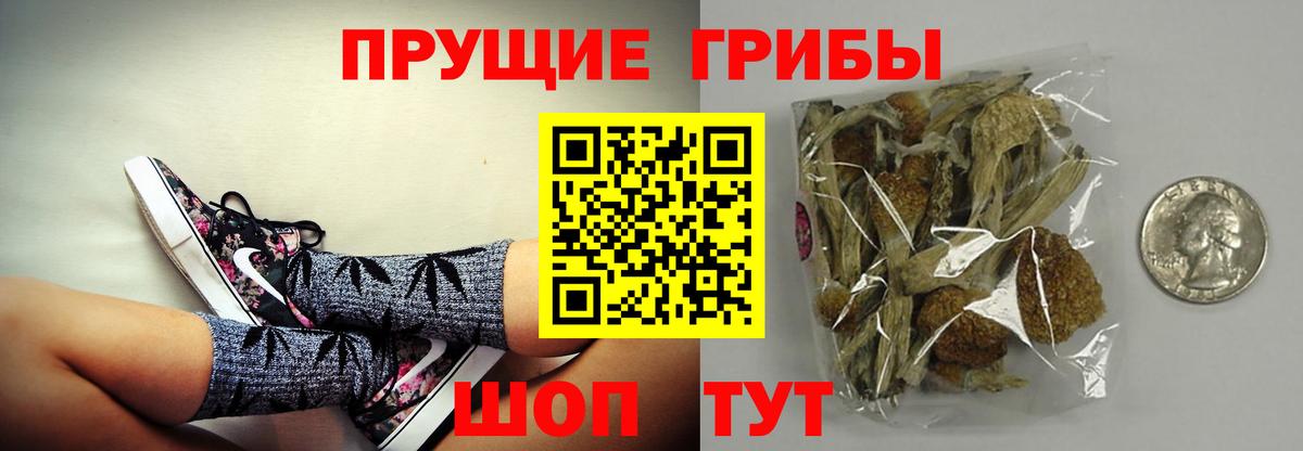 Псилоцибиновые грибы GOLDEN TEACHER Ирбит